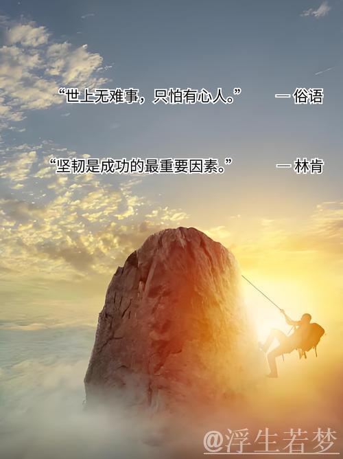 亚历山大：坚持奋斗 追求卓越